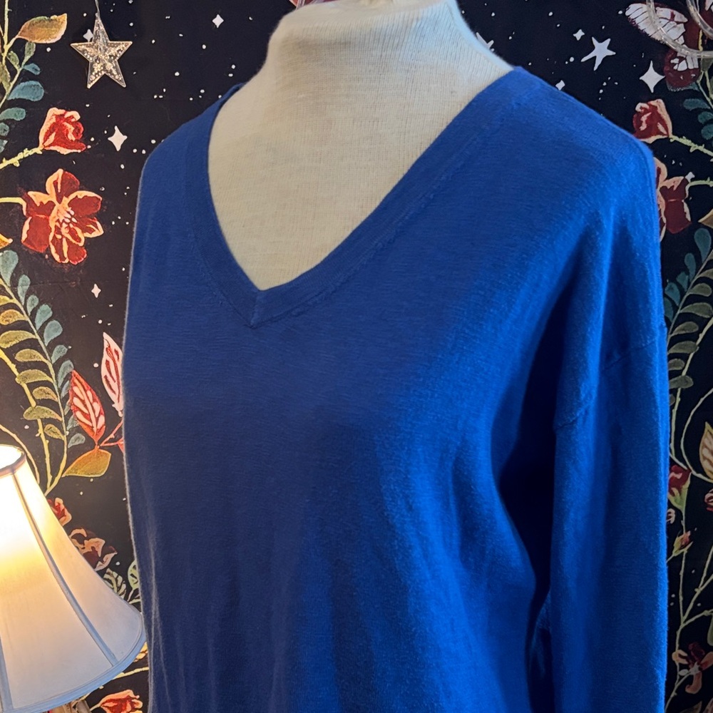Talbots Cobalt Blue V-Neck Blouse with Tassel Trim